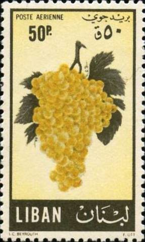 Stamp